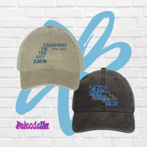 Zayn Malik Gorras