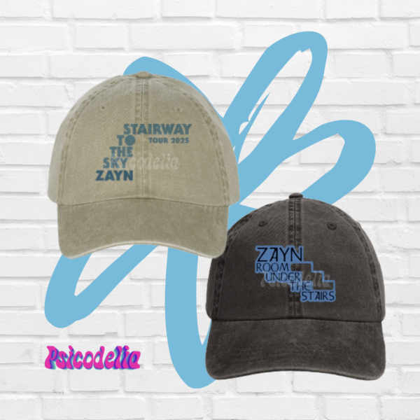 Zayn Malik Gorras